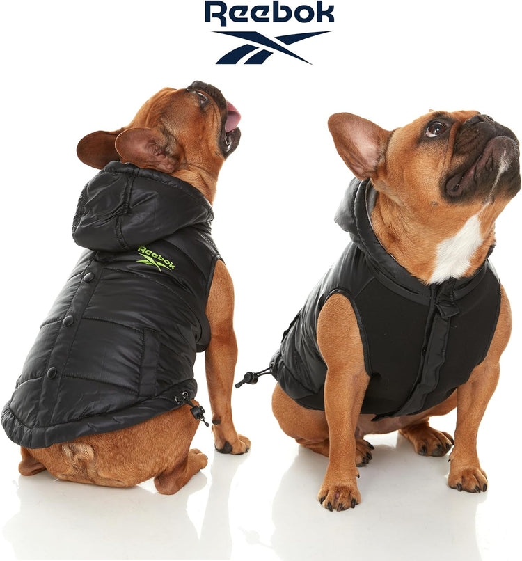 Reebok Köpek Koleksiyonu