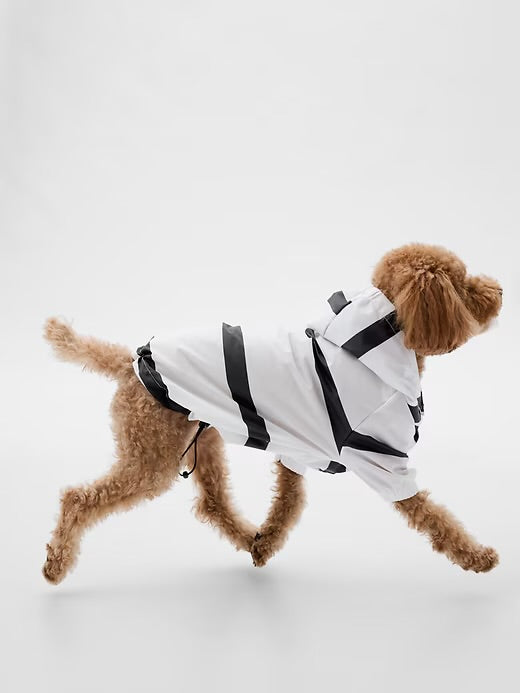 Köpek Yağmurlukları