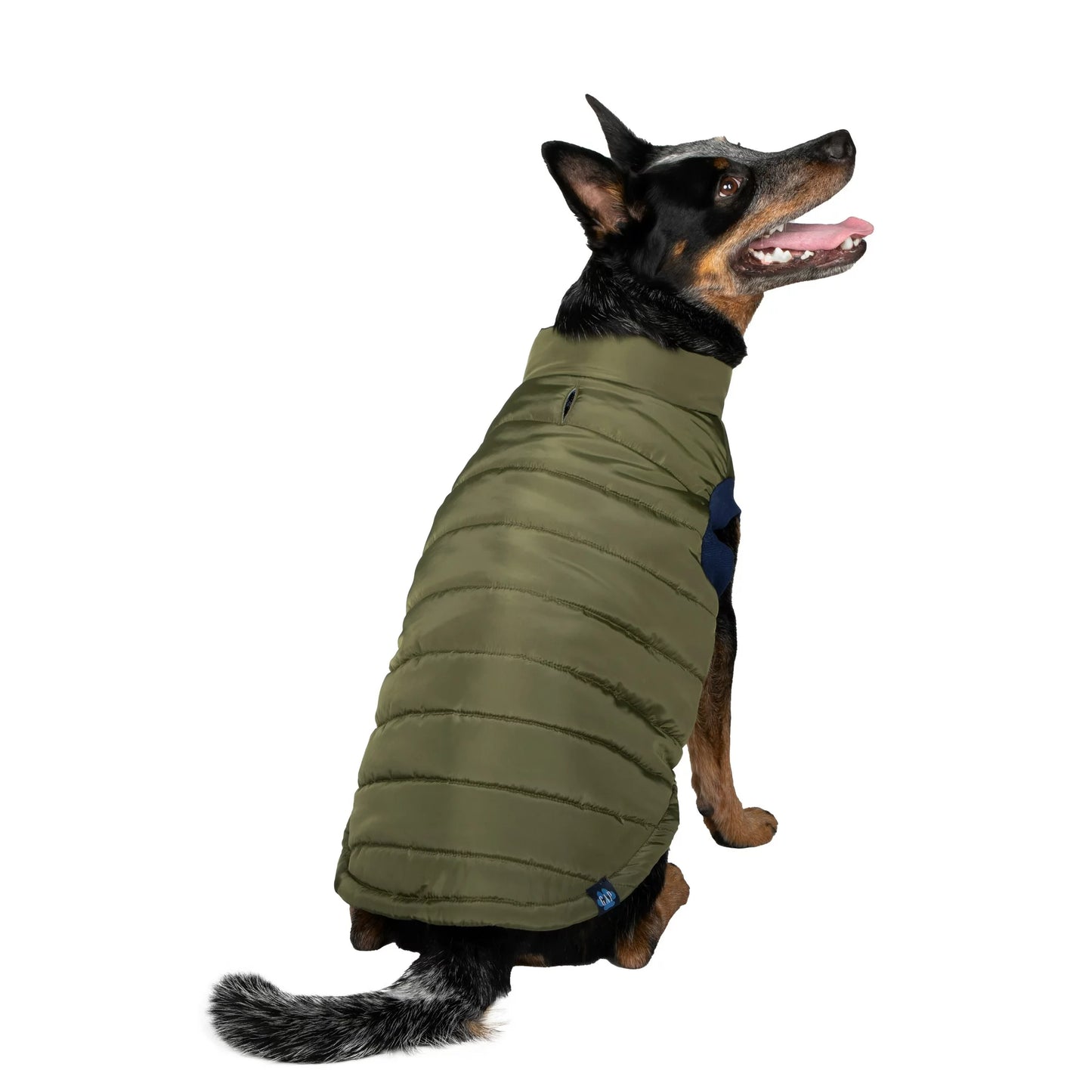 GAP Dog Puff Jacket