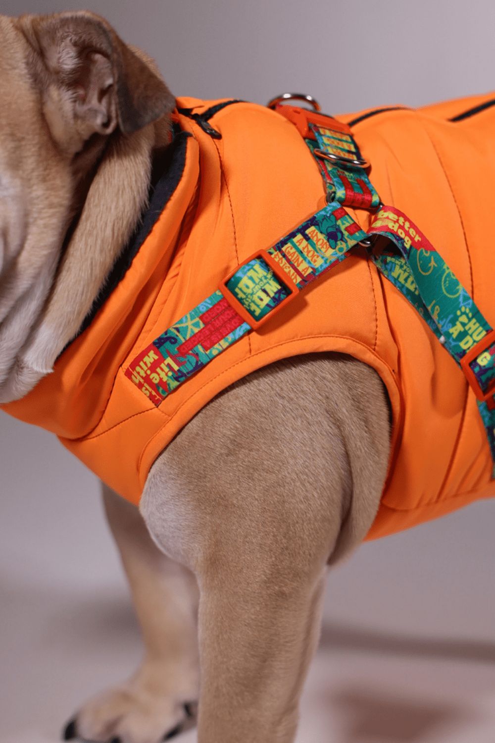 Pawlook Design Göğüs Tasmalı Köpek Montu