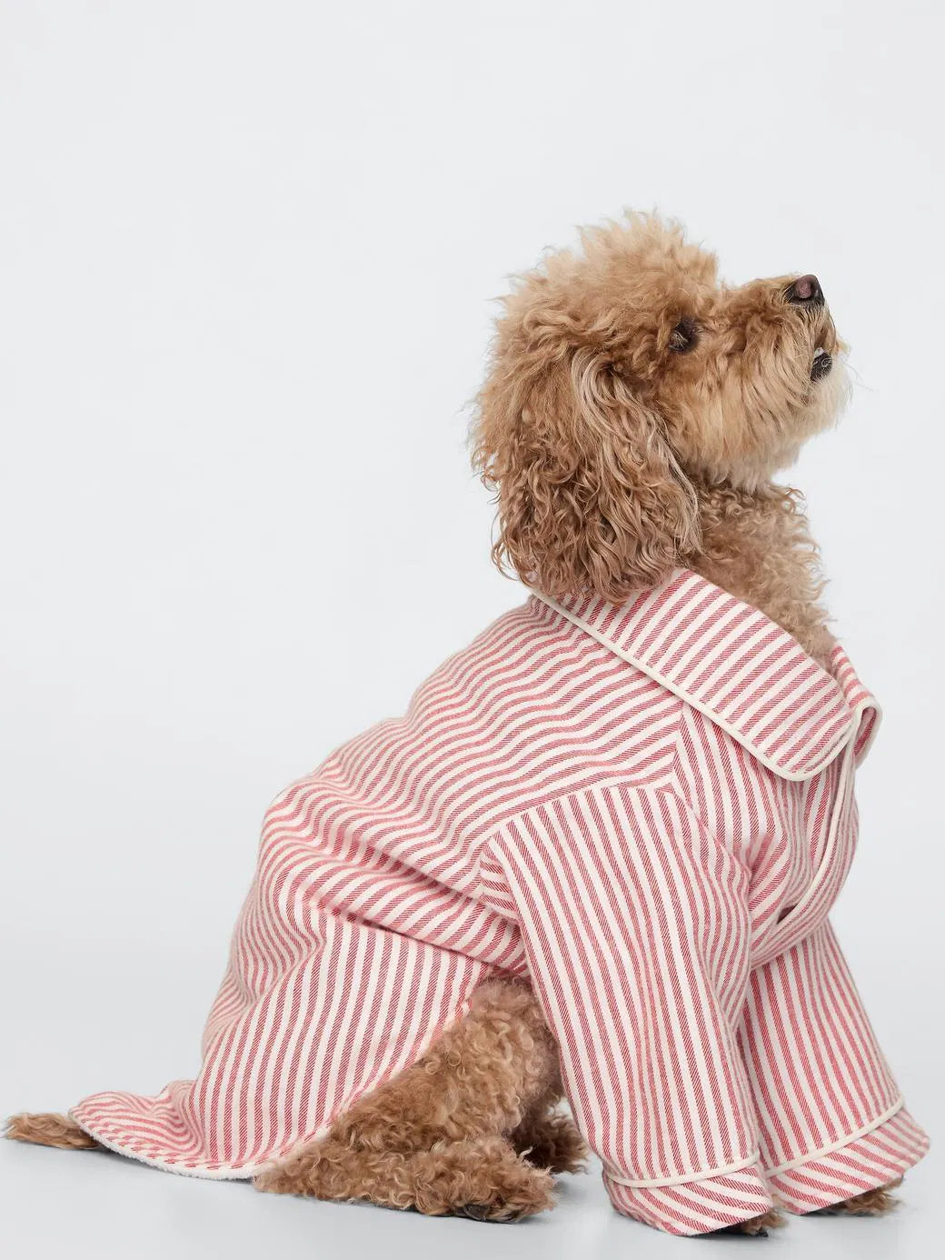 GAP Dog Shirt