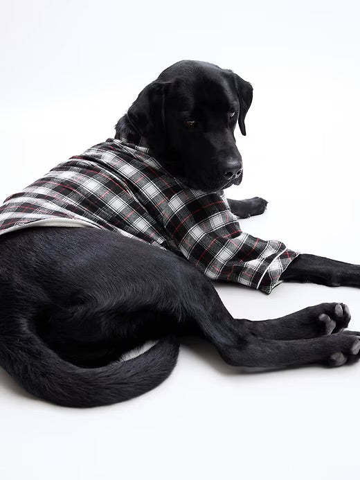 GAP Dog Shirt