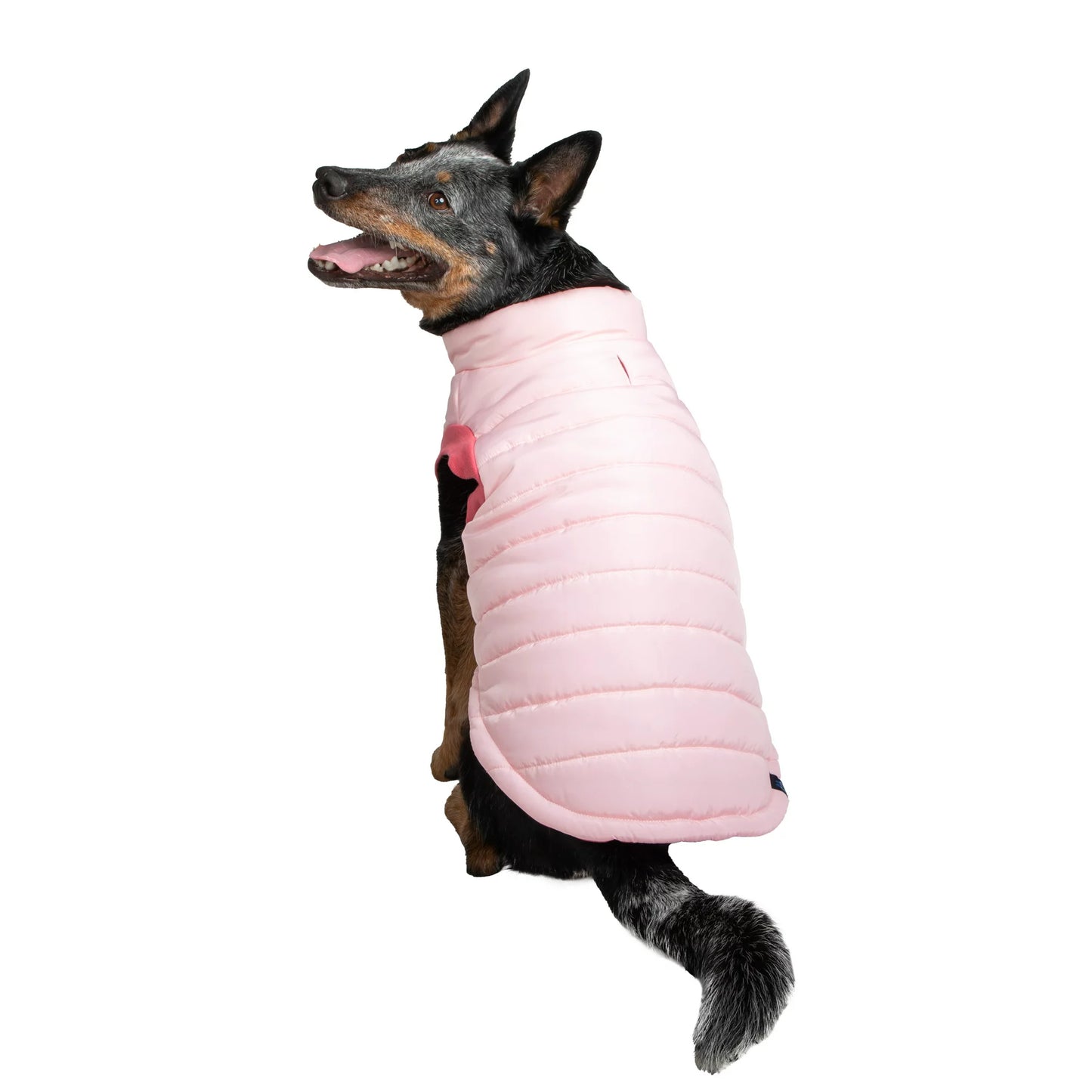 GAP Dog Puff Jacket