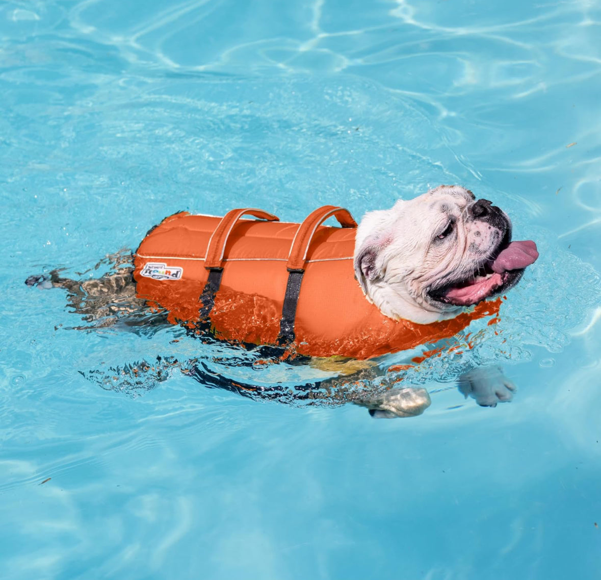 Outward Hound Köpek Can Yeleği