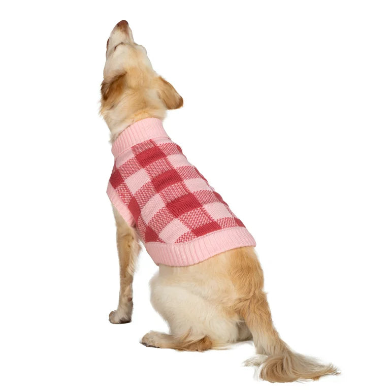 GAP Dog Sweater