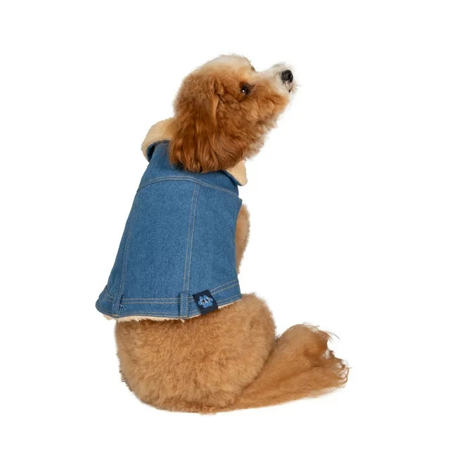 GAP Köpek Kot Ceket