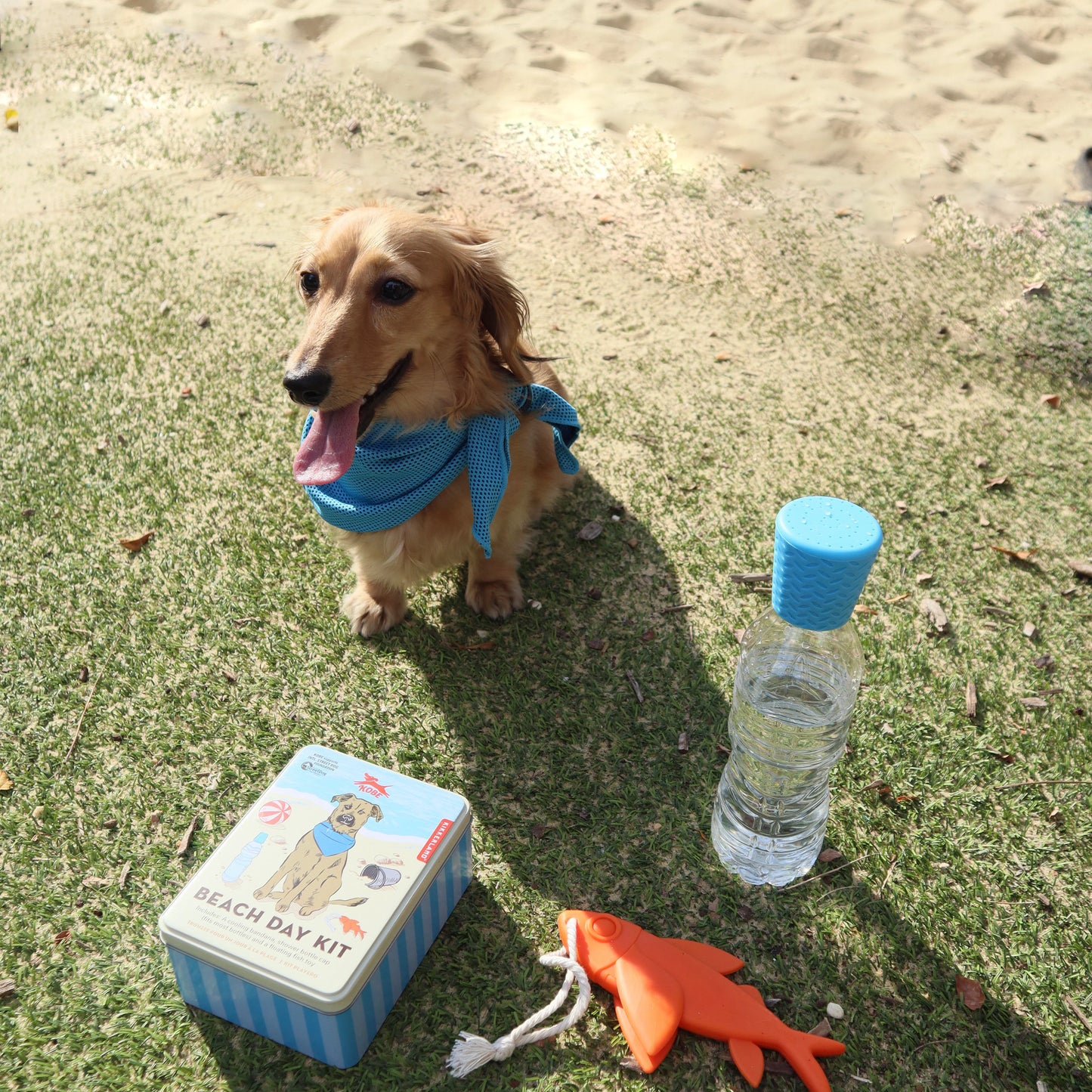 Kikkerland Kobe Dog Beach Day Kit