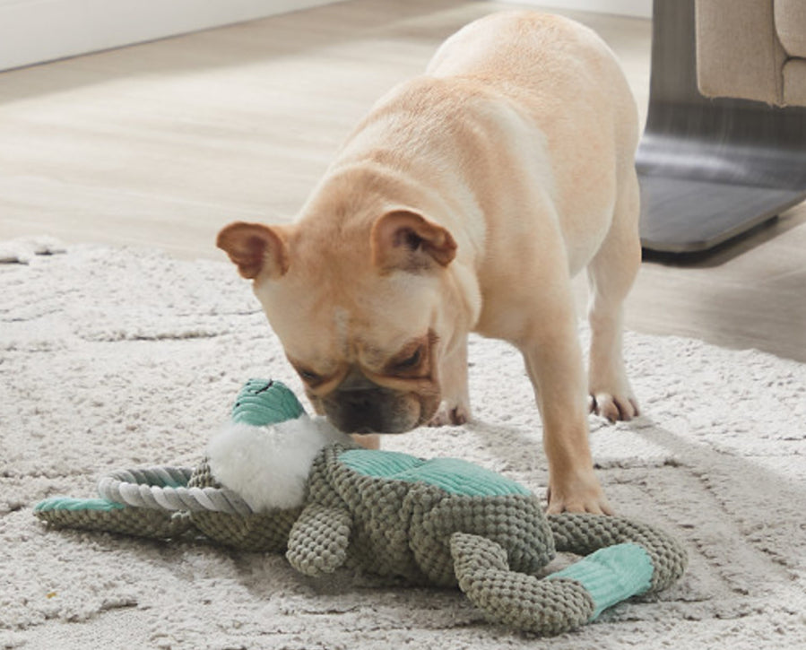 Outward Hound Scrunch Bunch Çekiştirme Oyuncakları