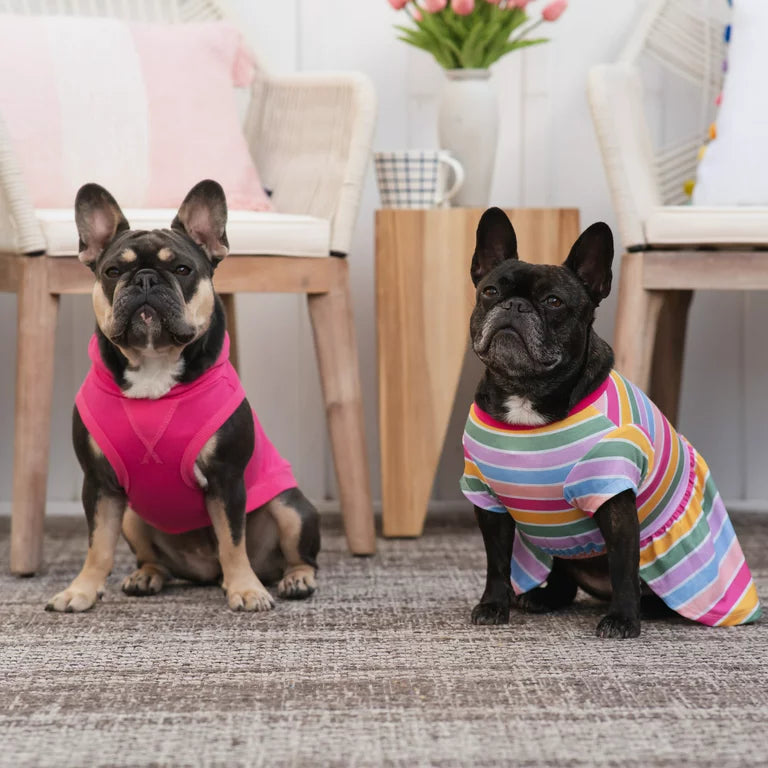 GAP Dog Striped Dress