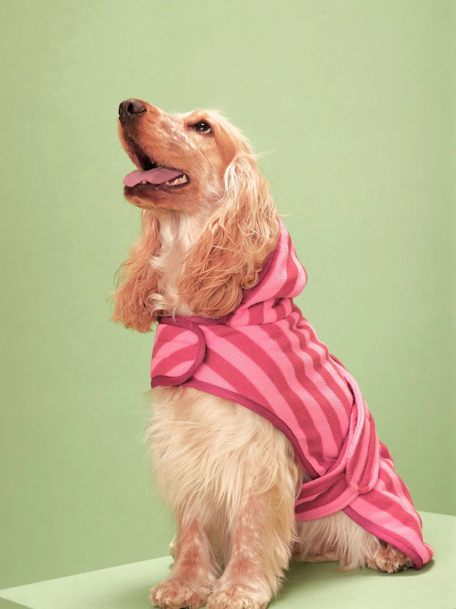 Köpek Kurulama Havlusu & Bornoz
