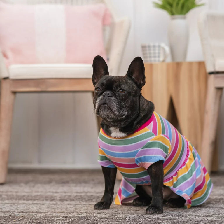 GAP Dog Striped Dress