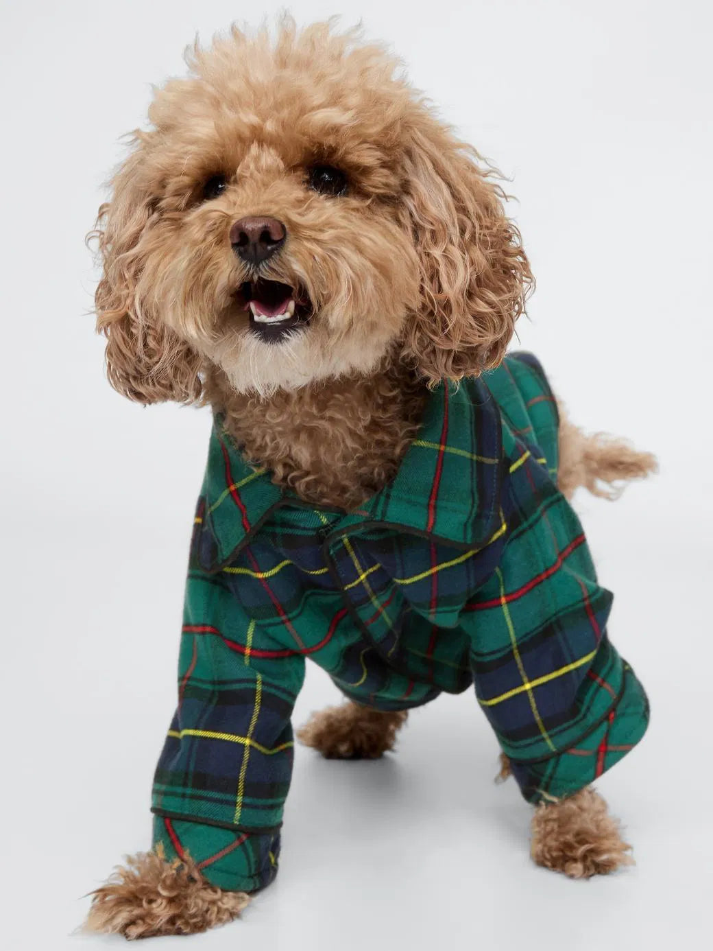GAP Dog Shirt