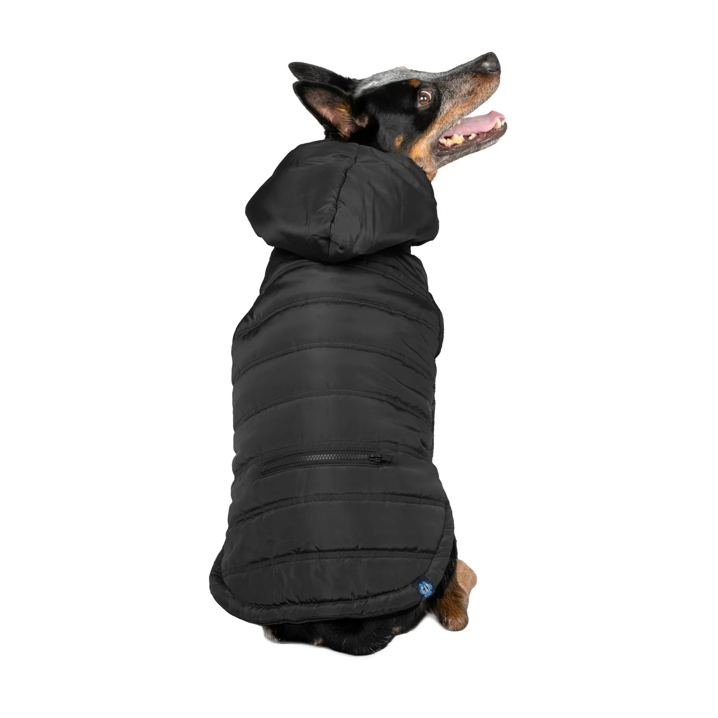 GAP Köpek Kapşonlu Ceket