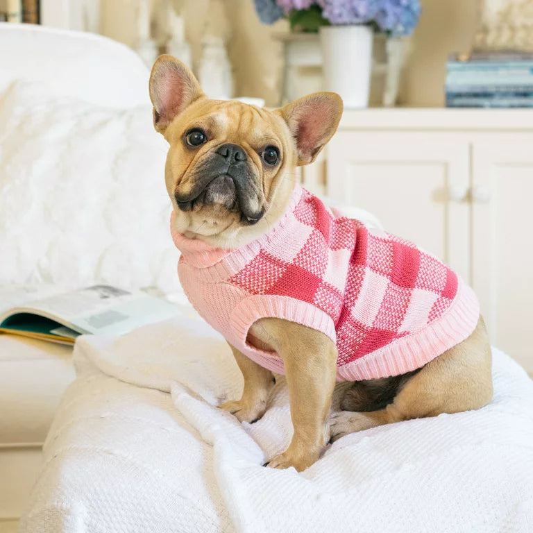 GAP Dog Sweater