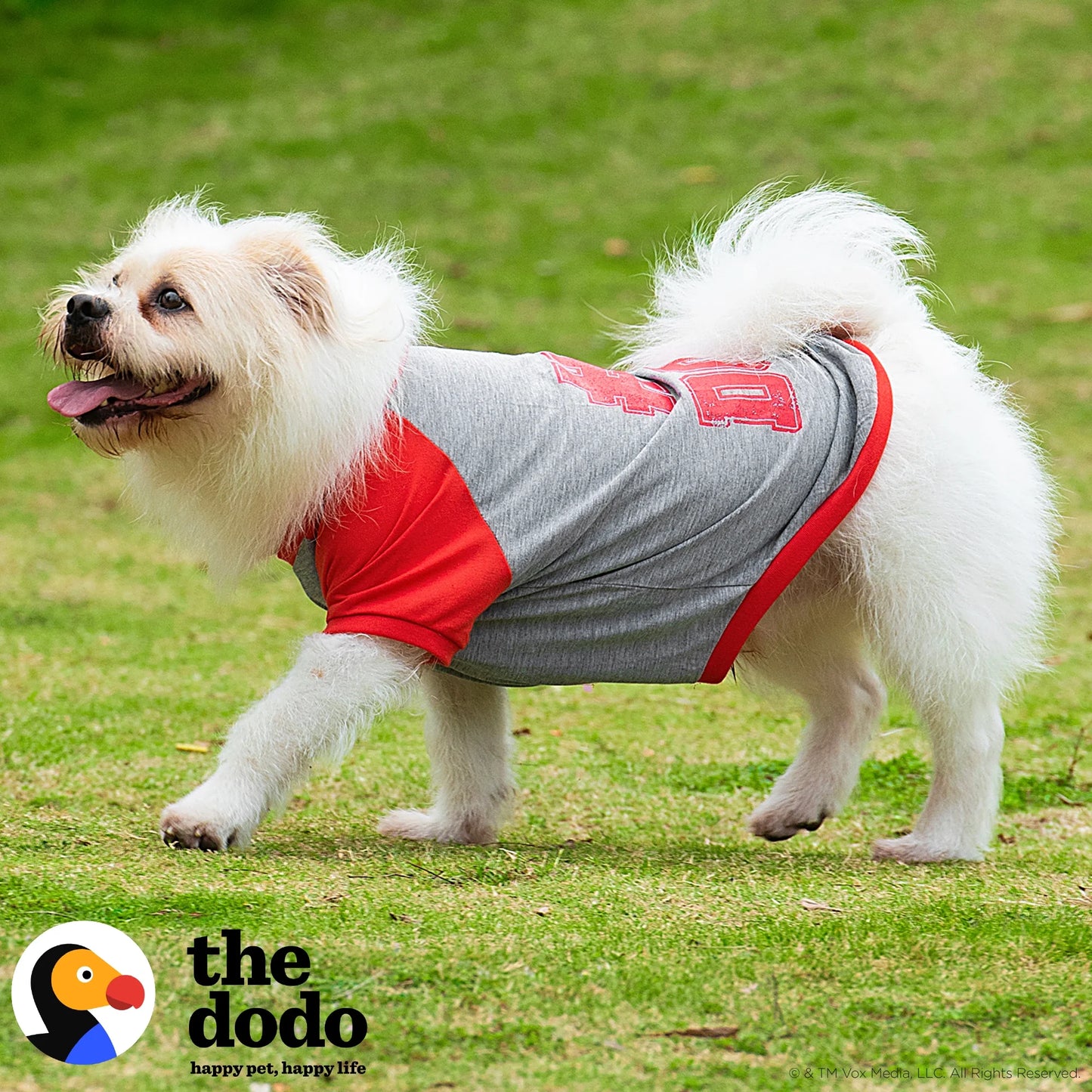 the Dodo Bisiklet Yaka T-Shirt