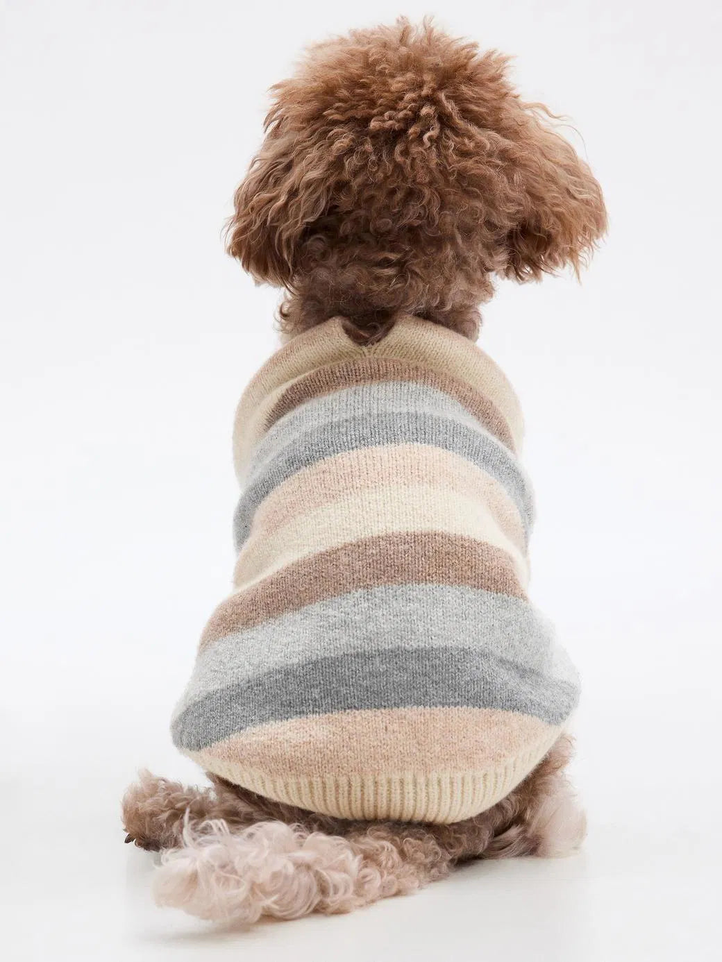 GAP Kaşmir Yumuşaklığında Köpek Kıyafeti