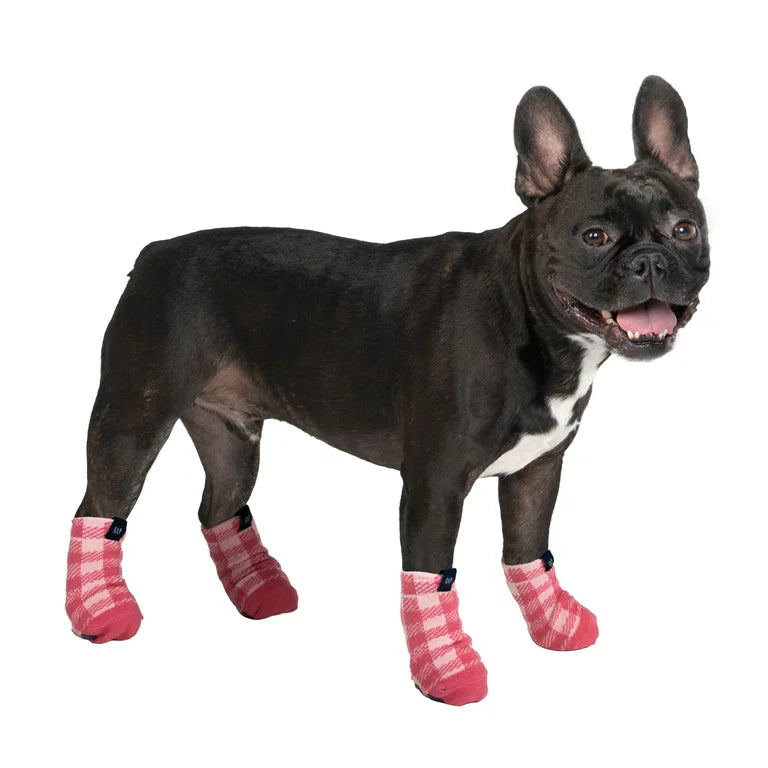 GAP Dog Socks