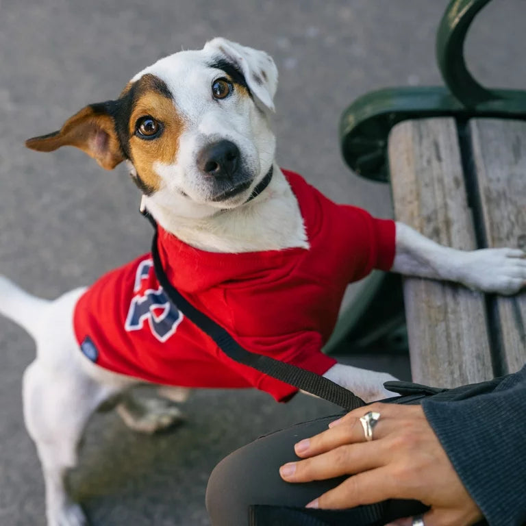 GAP Dog Hoodie Blue