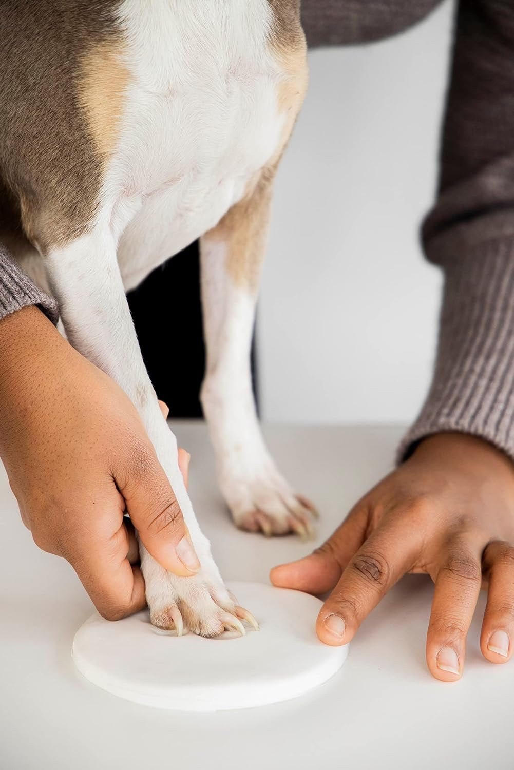 “Köpeğinizin Patisi” Yılbaşı Süsü Kiti