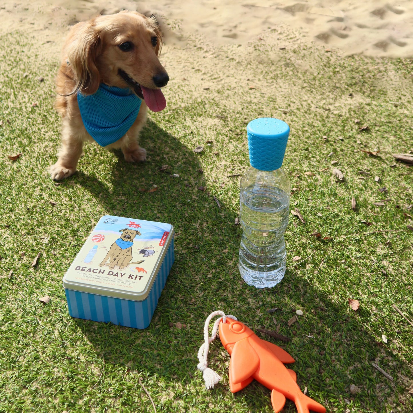 Kikkerland Kobe Dog Beach Day Kit
