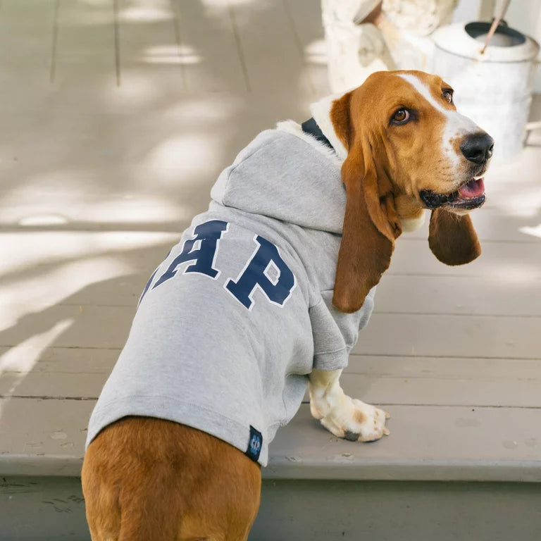 GAP Dog Hoodie Blue