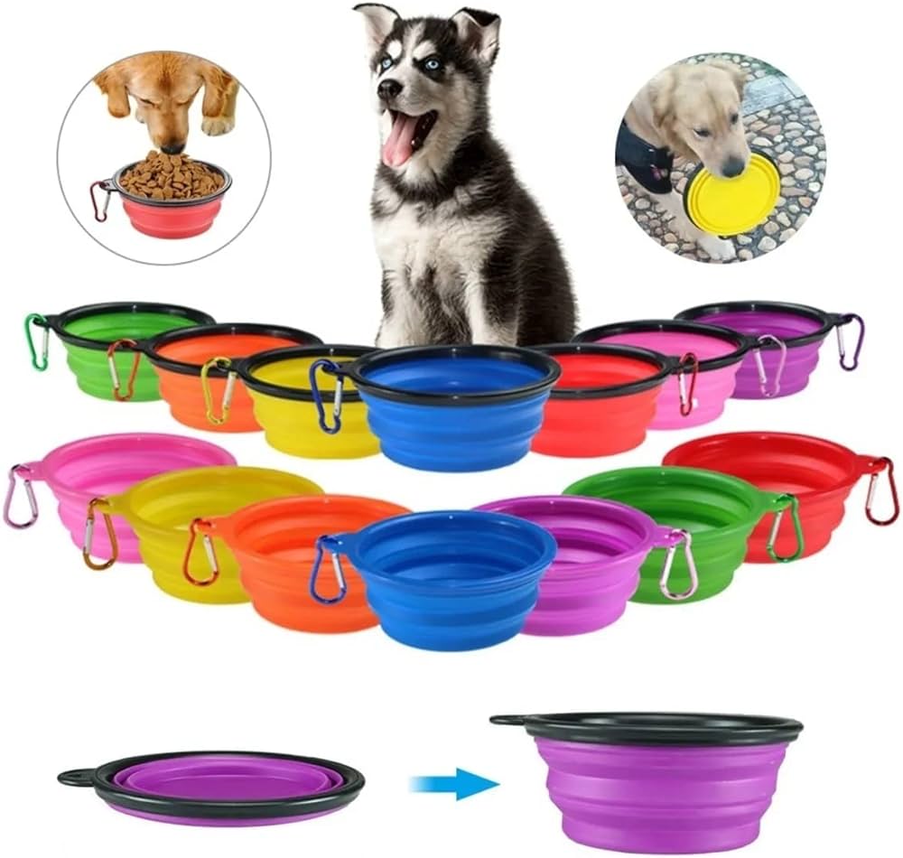 Foldable Water and Food Containers