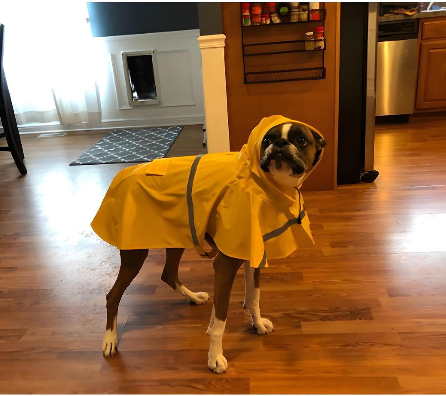 Nacoco Pet Büyük Beden Köpek Yağmurluk