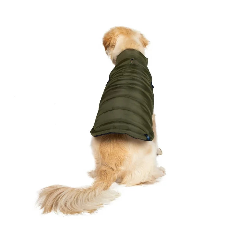GAP Dog Puff Jacket