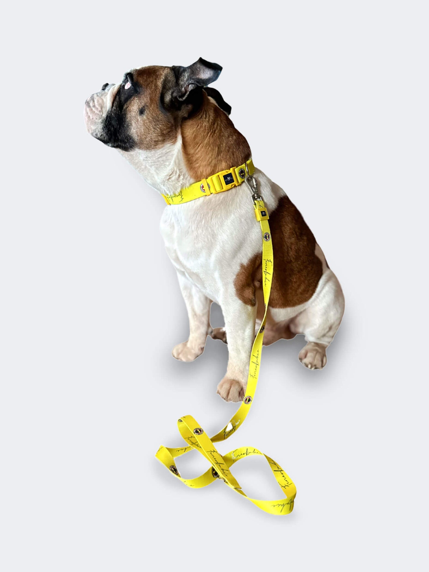 Fenerbahçe Lisanslı & Logolu Köpek Gezdirme Kayışı