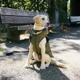 GAP Köpek Kapşonlu Ceket