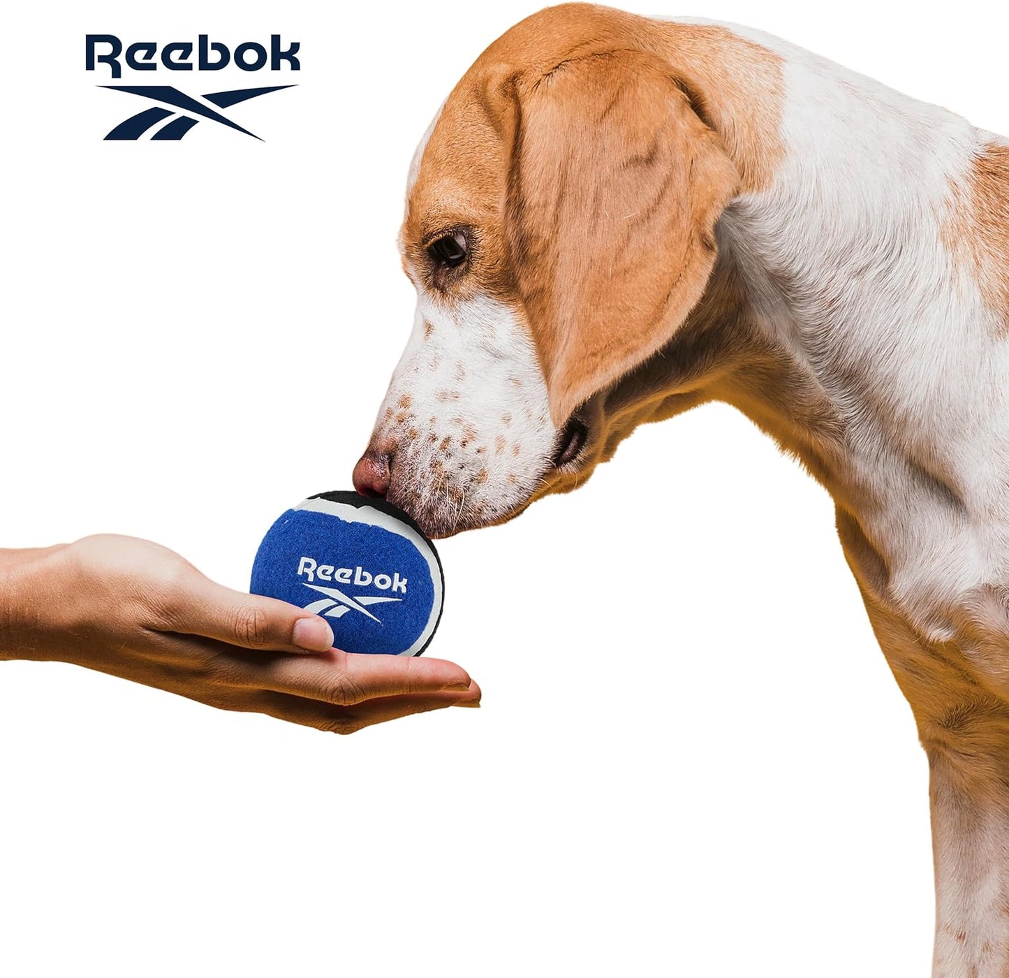 Reebok Köpek Tenis Topu 3lü