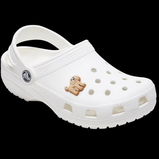 Crocs Jibbitz Charms