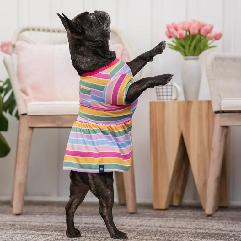 GAP Dog Striped Dress