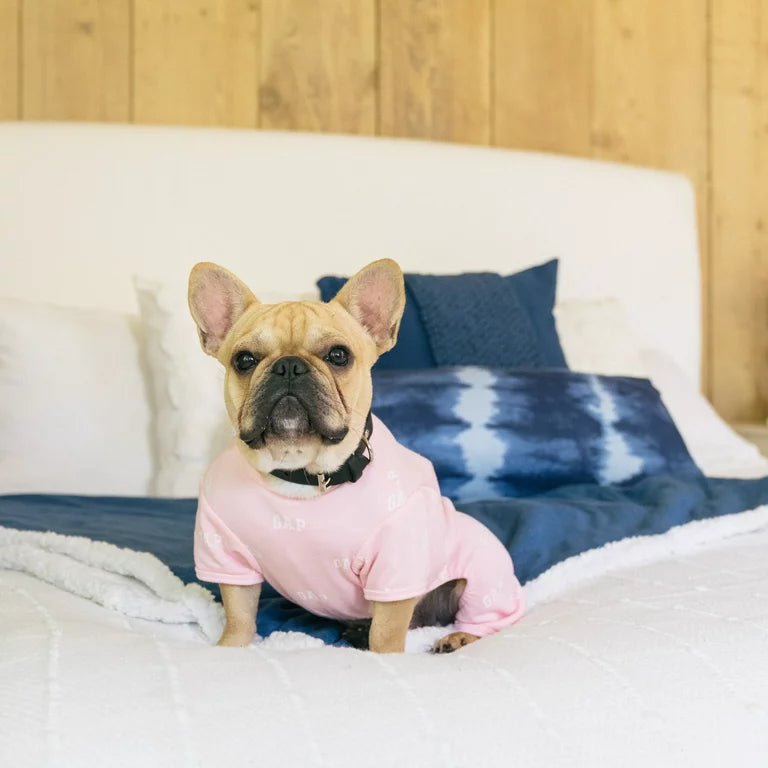 GAP Dog Pajamas