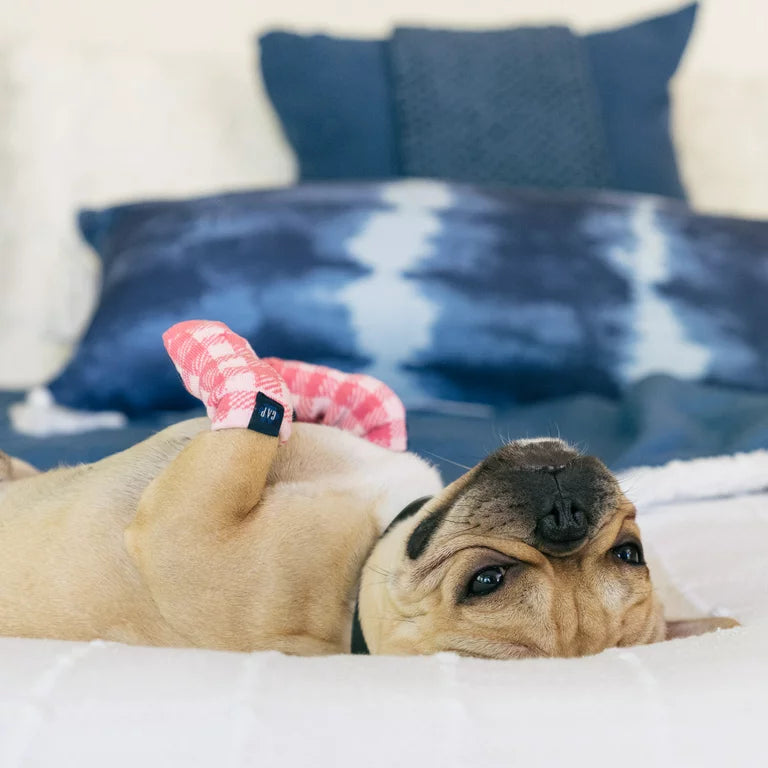 GAP Dog Socks