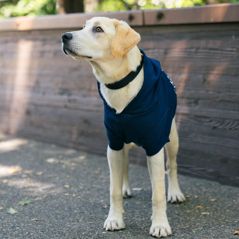 GAP Dog Hoodie Blue