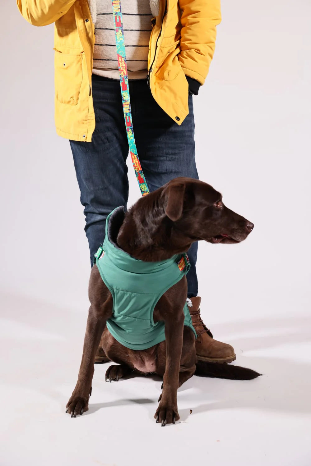 Pawlook Design Göğüs Tasmalı Köpek Montu