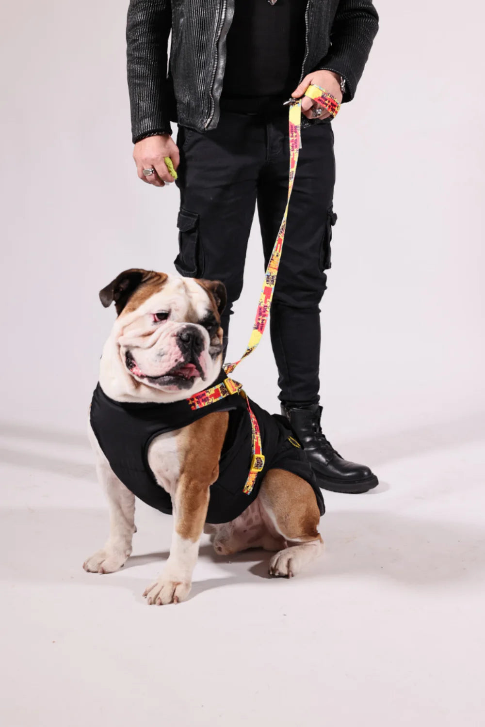 Pawlook Design Göğüs Tasmalı Köpek Montu