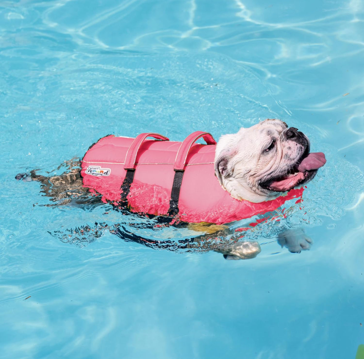 Outward Hound Köpek Can Yeleği