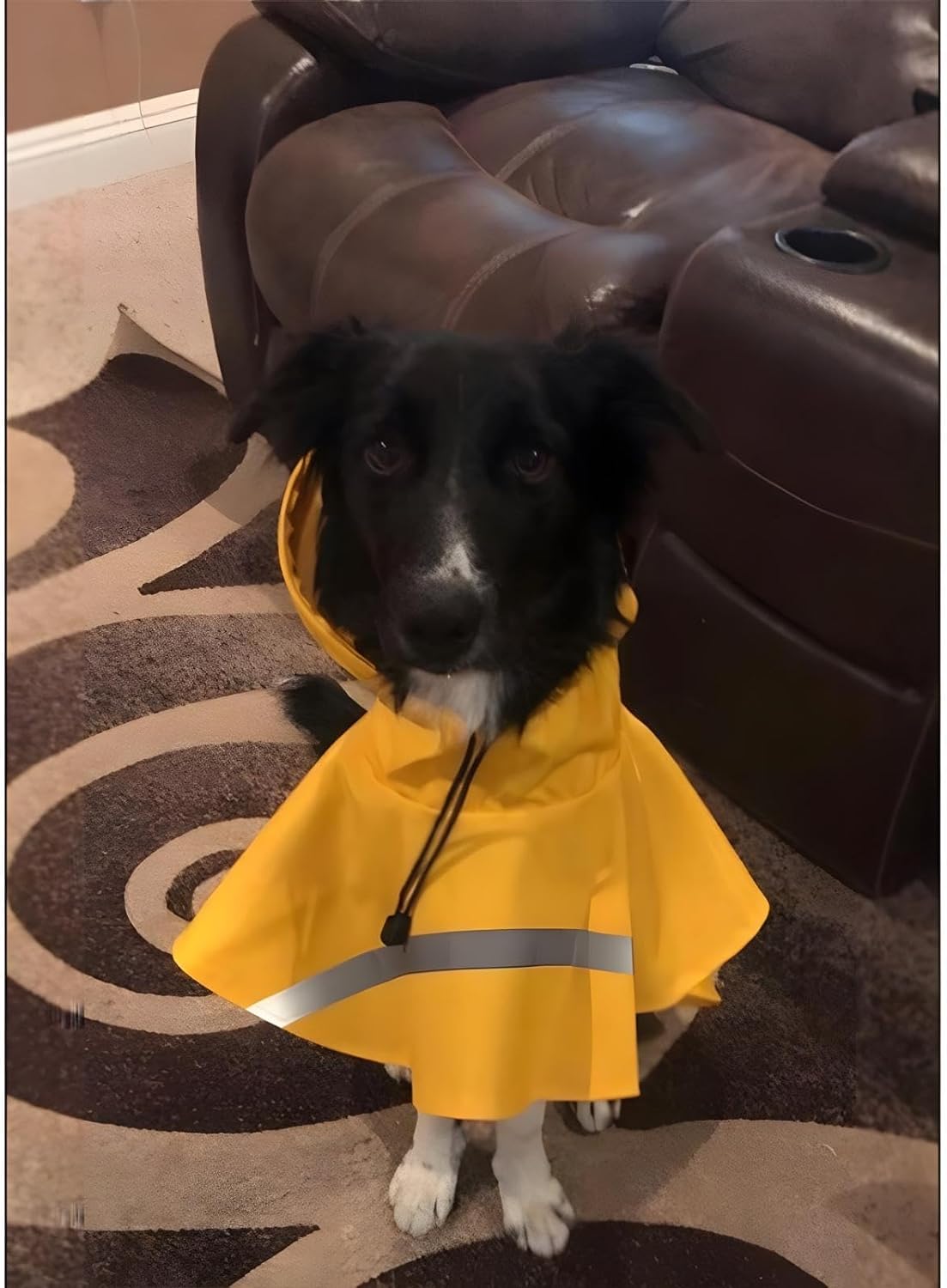 Nacoco Pet Büyük Beden Köpek Yağmurluk