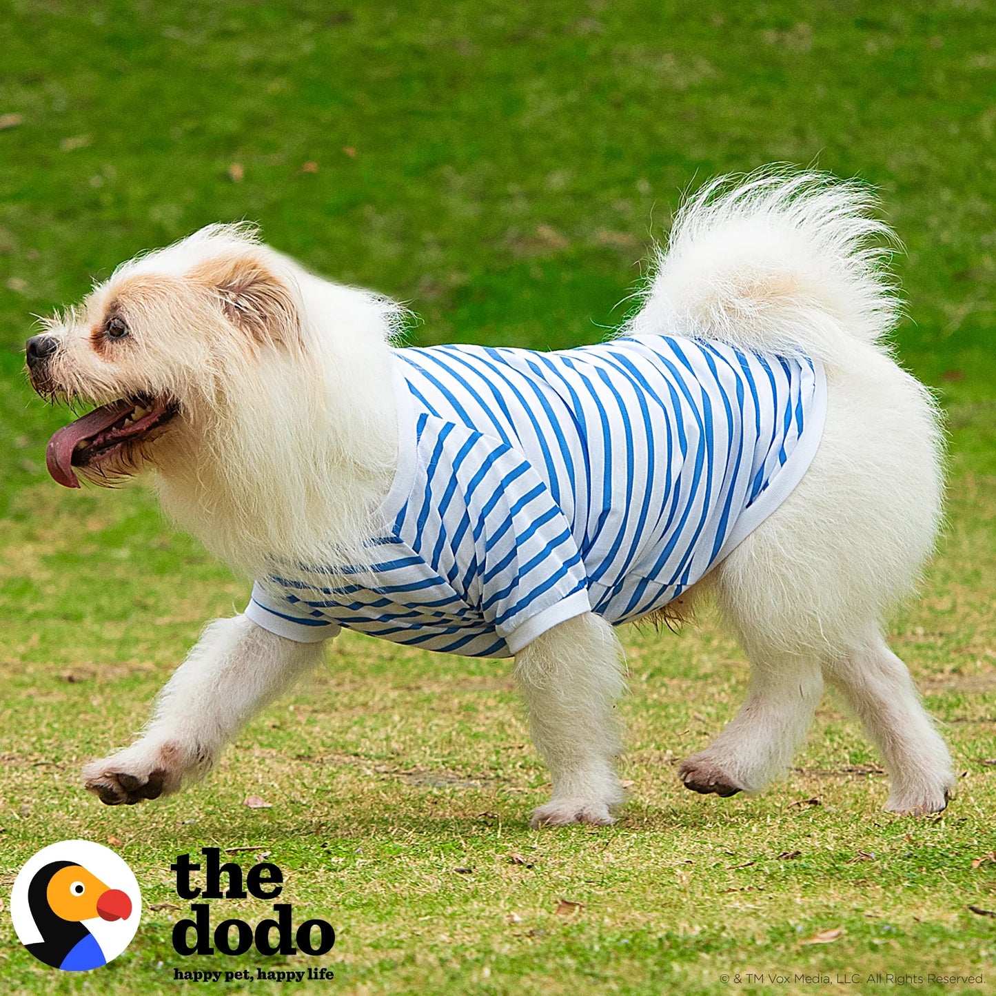 the Dodo Bisiklet Yaka T-Shirt