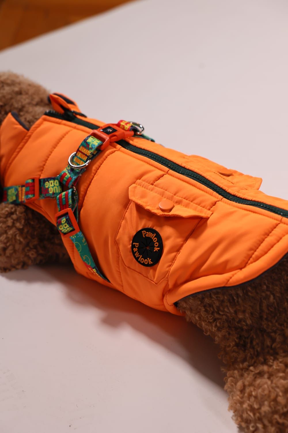 Pawlook Design Göğüs Tasmalı Köpek Montu
