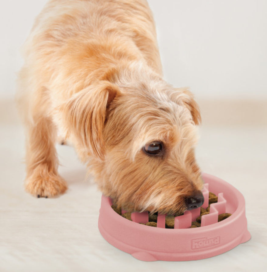 Outward Hound Yavaş Yeme Mama Kapları