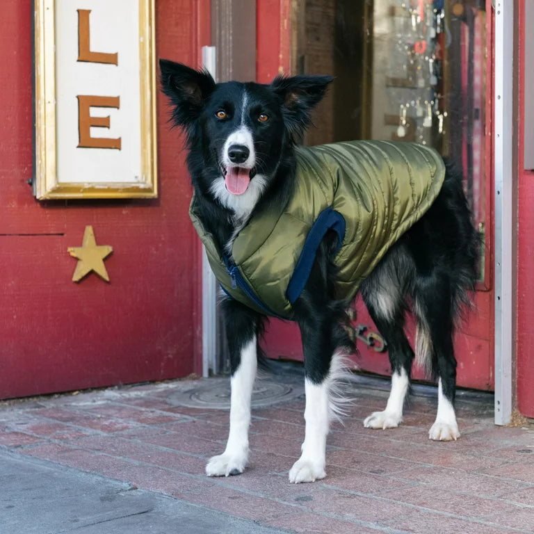 GAP Dog Puff Jacket