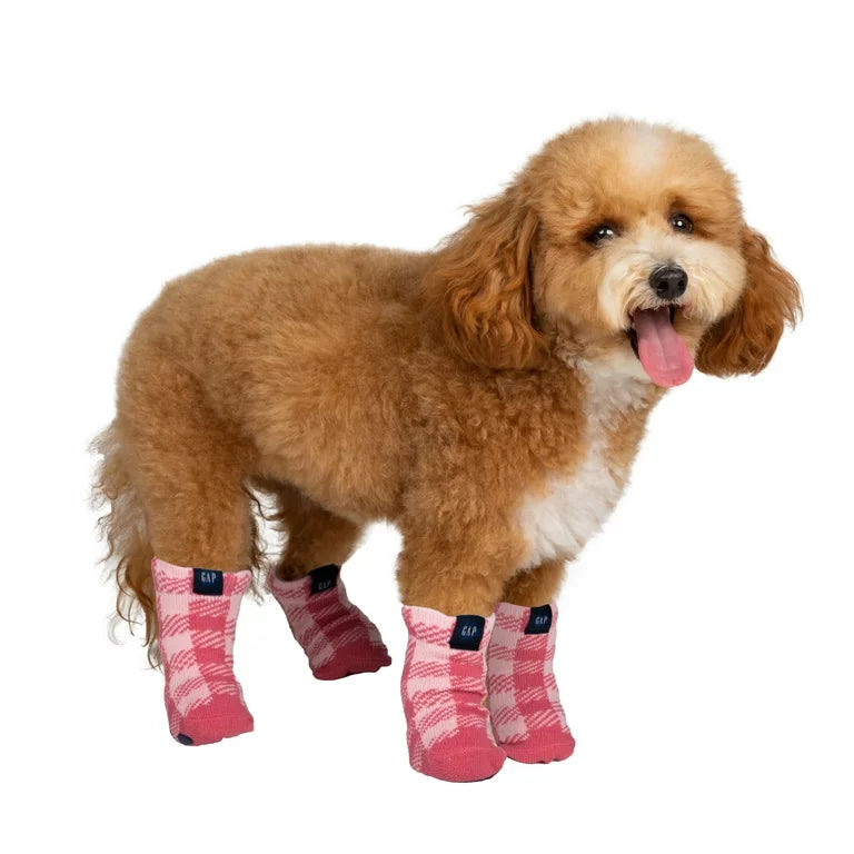 GAP Dog Socks