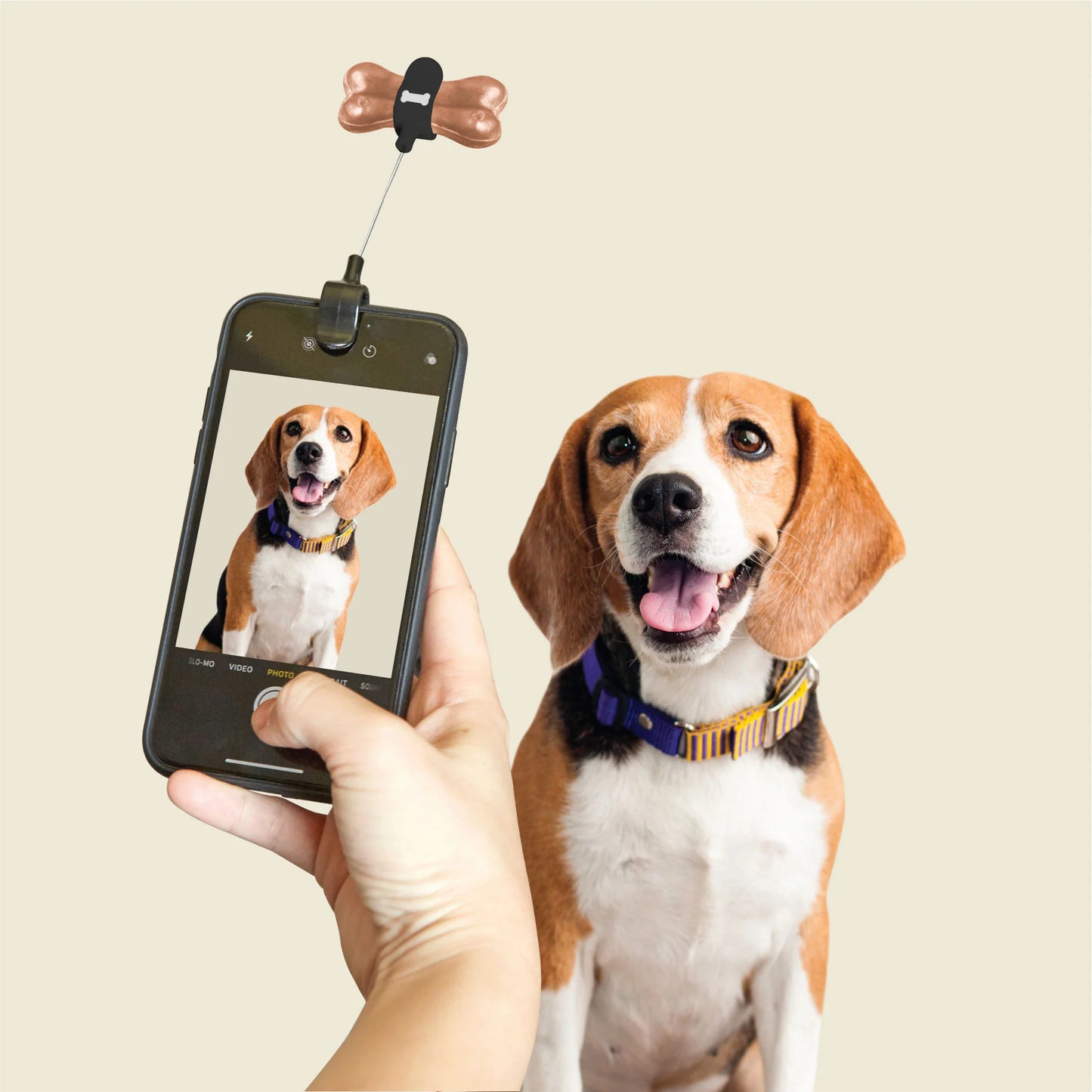 Kikkerland Kobe Dog Selfie Attachment (Treaty Holder)