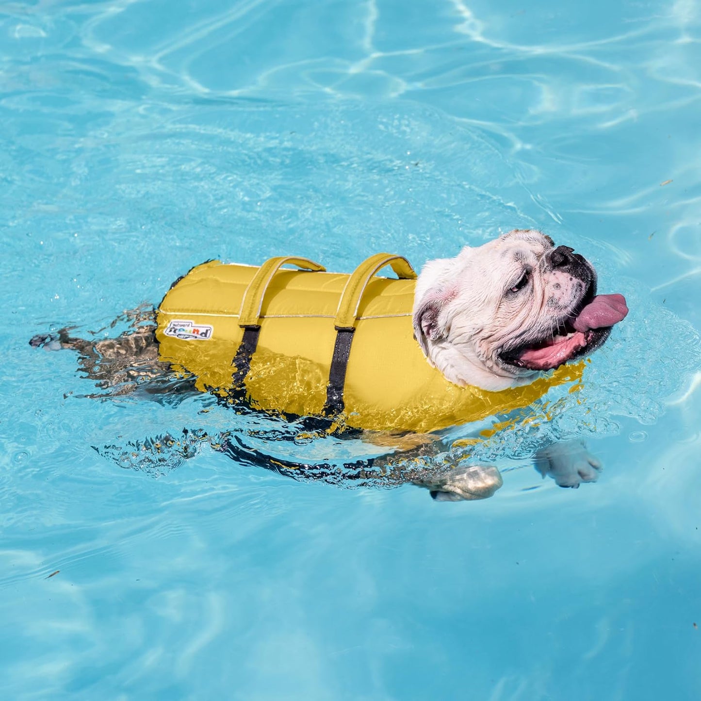Outward Hound Köpek Can Yeleği