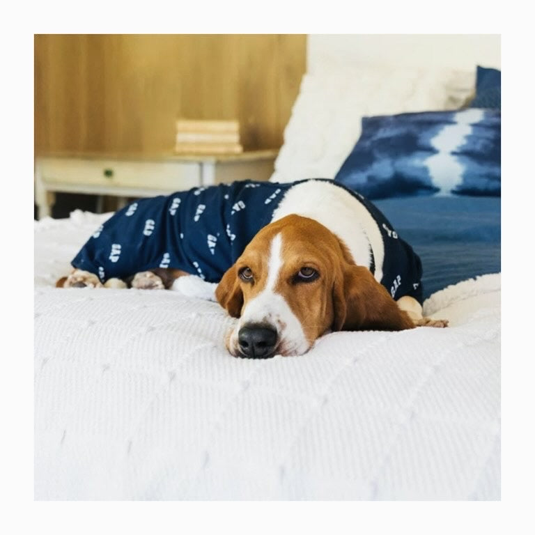GAP Dog Pajamas