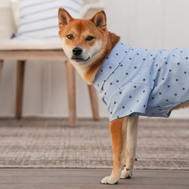 GAP Dog Shirt