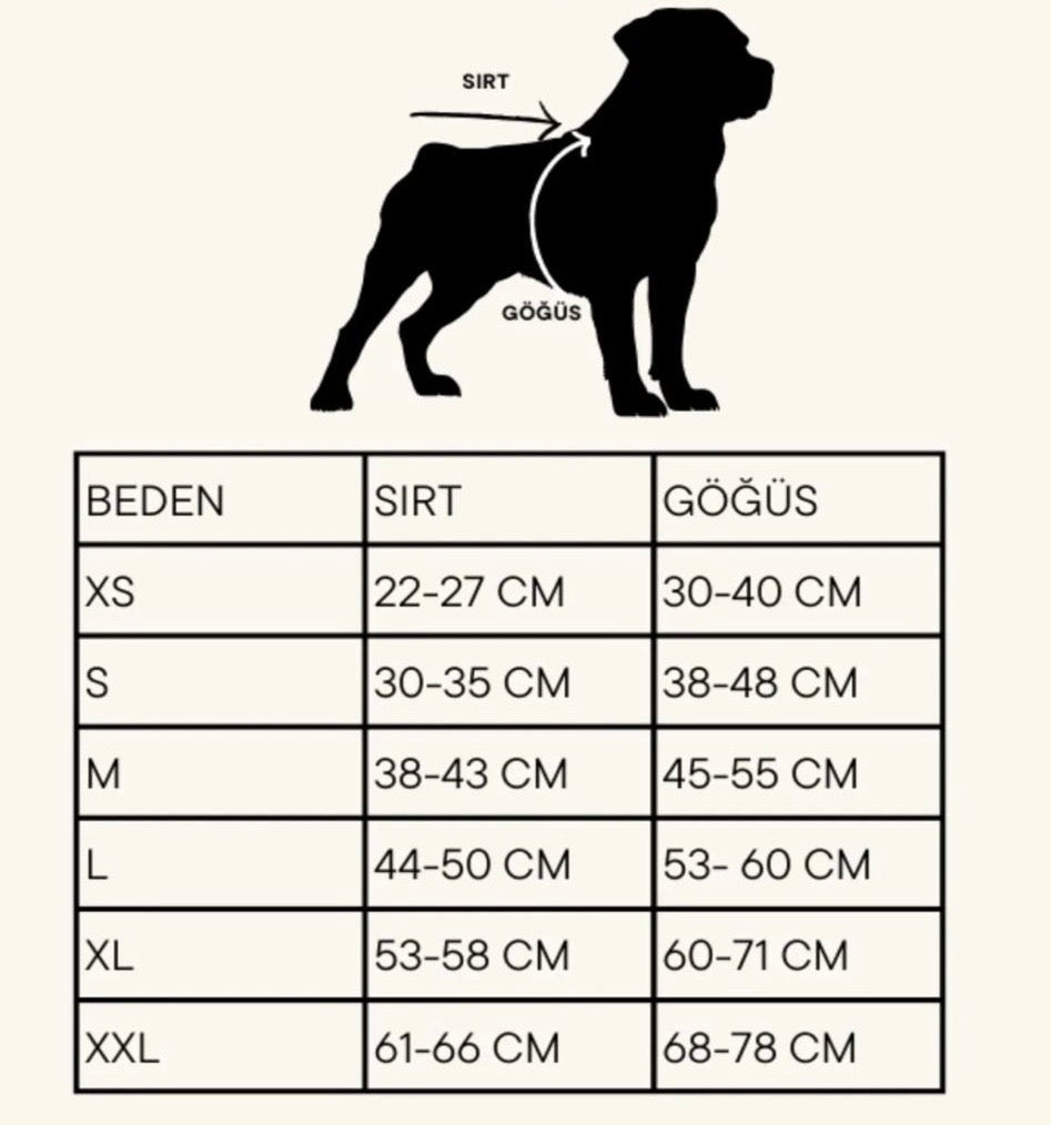 Pawlook Design Göğüs Tasmalı Köpek Montu